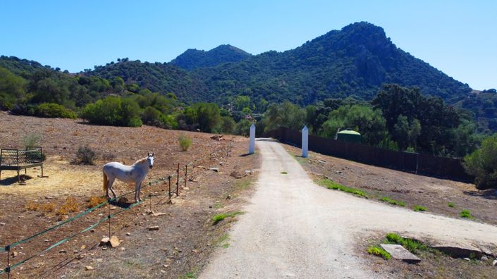 Image No.27-9 Bed Property for sale