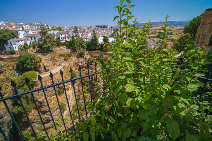 Image No.1-4 Bed Mansion for sale