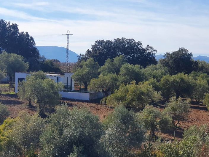 Image No.29-6 Bed Country House for sale