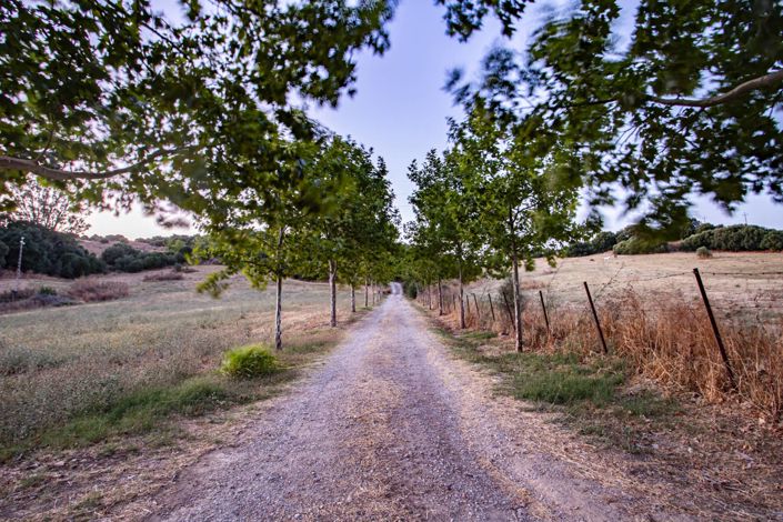 Image No.39-4 Bed Property for sale