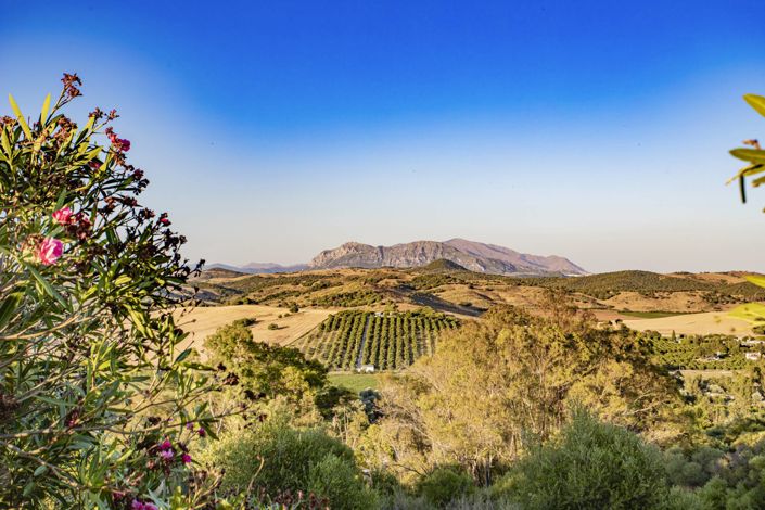 Image No.44-4 Bed Property for sale