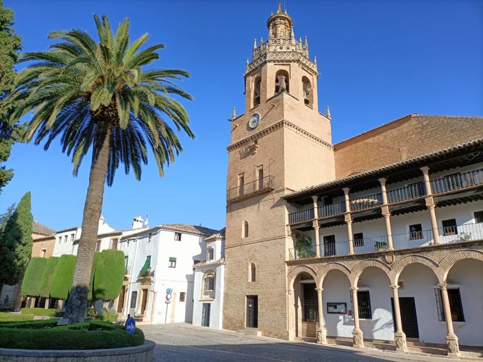 Image No.29-8 Bed Mansion for sale