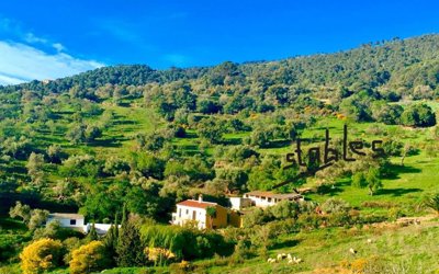 8ipksmx1naaudvanutiusfacyqjznplh