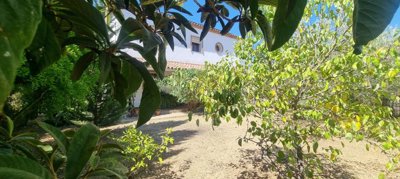 dw6jciriq11asw4cjqmbbyttlglpzsib