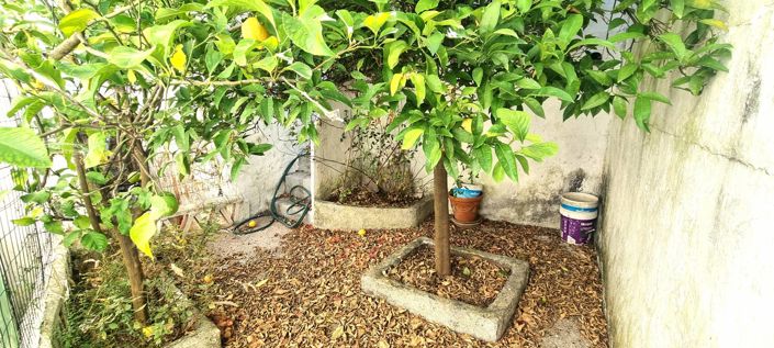 Image No.2-3 Bed Village House for sale