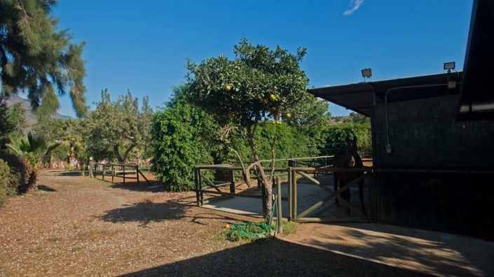 Image No.11-3 Bed Country House for sale