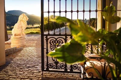 cvk97dtschladnxz8bljnj74dtciwo3v