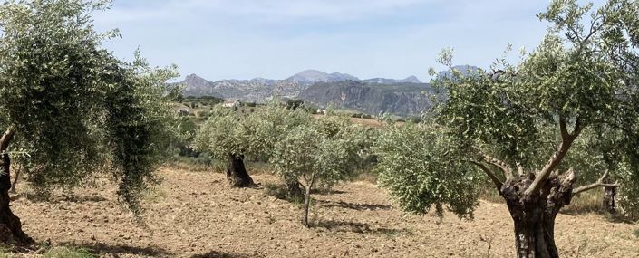 Image No.29-5 Bed Country House for sale