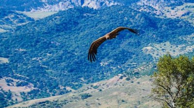 fw2izv358itsvmzody2cdlfduru1tocb