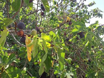 5cg3njymeahw7vqsjmnxin99pi1tbs5l