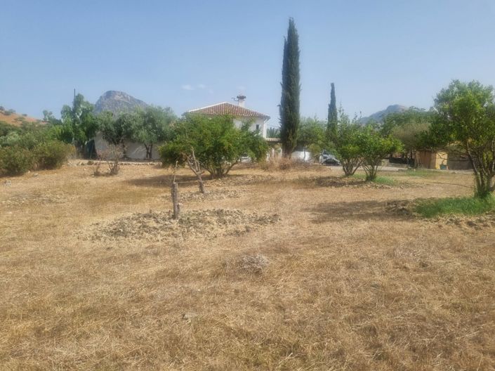 Image No.8-6 Bed Property for sale