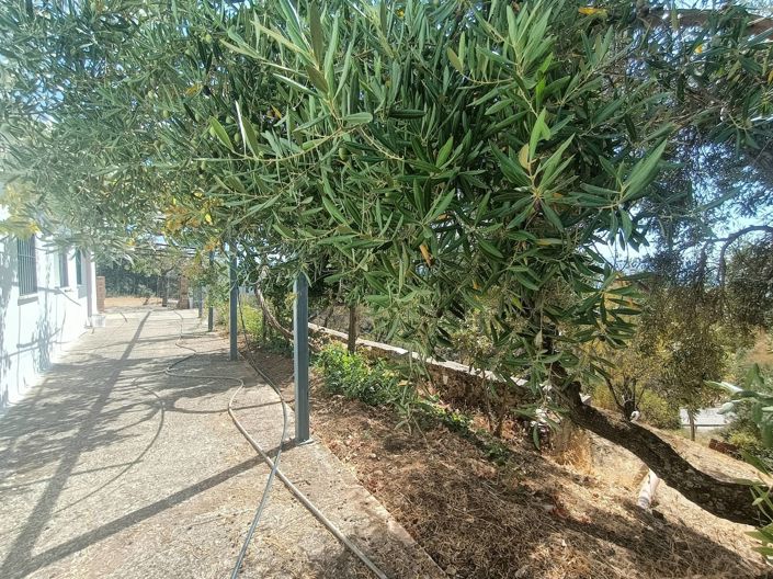 Image No.1-2 Bed Country House for sale