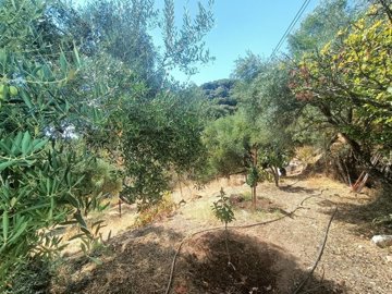 2ylioxzor1q6yzpevvzmm7iirqhlvjmx