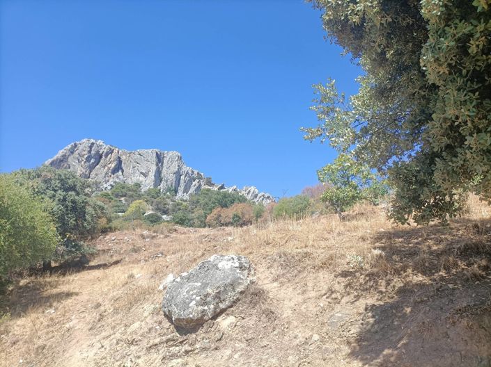 Image No.19-2 Bed Country House for sale