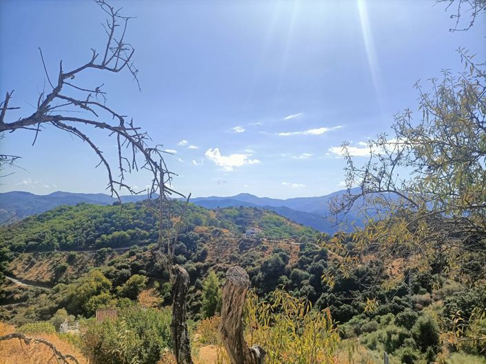 Image No.20-2 Bed Country House for sale