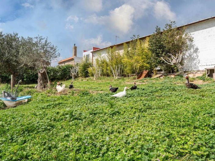 Image No.5-4 Bed Property for sale