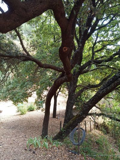 Image No.10-2 Bed Finca for sale