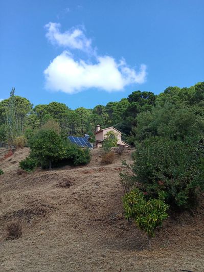 Image No.12-2 Bed Finca for sale