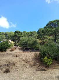 woemuq0n4ww2pcl6tmienttqxekdfehq