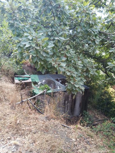 Image No.16-2 Bed Finca for sale