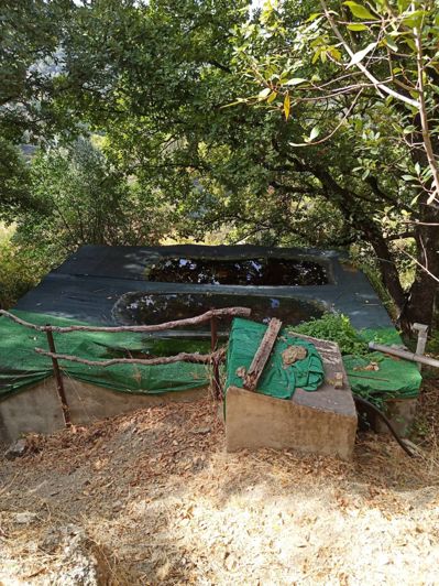 Image No.17-2 Bed Finca for sale