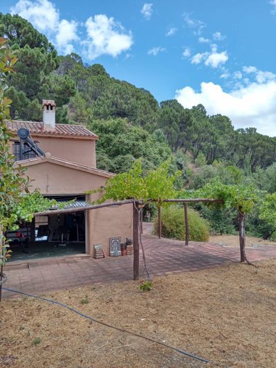 Image No.23-2 Bed Finca for sale