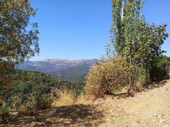 Image No.3-2 Bed Finca for sale