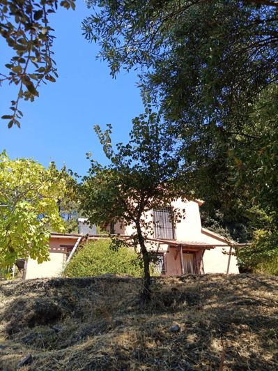 Image No.7-2 Bed Finca for sale