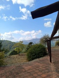 slfnfnesvfywj4irpj5z2cpxzzxi49v6