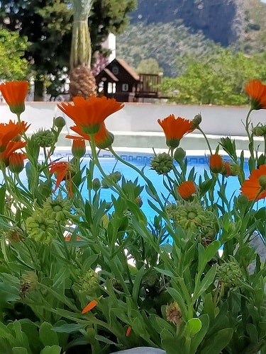 Image No.35-17 Bed Property for sale