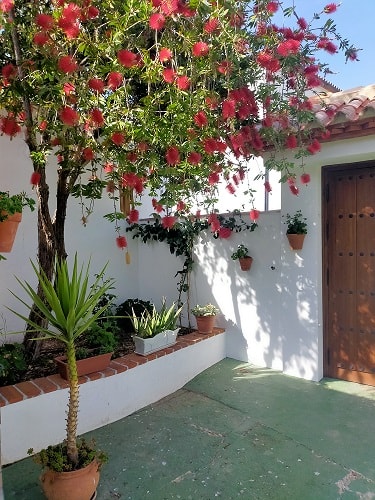 Image No.37-17 Bed Property for sale