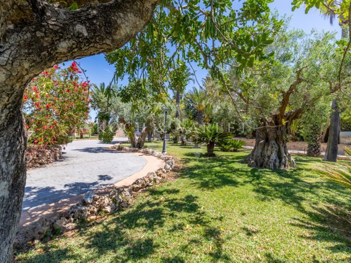 Image No.87-5 Bed Villa for sale