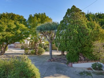 id95079b01-0000-0500-0000-0000158cba6e