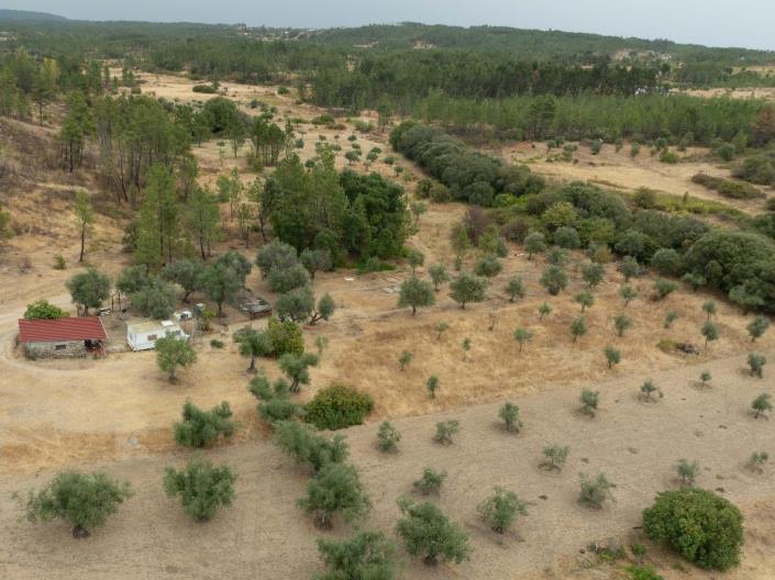 Image No.10-Finca for sale