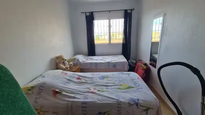 original_20250418-1157516880d757b41bb-jpg