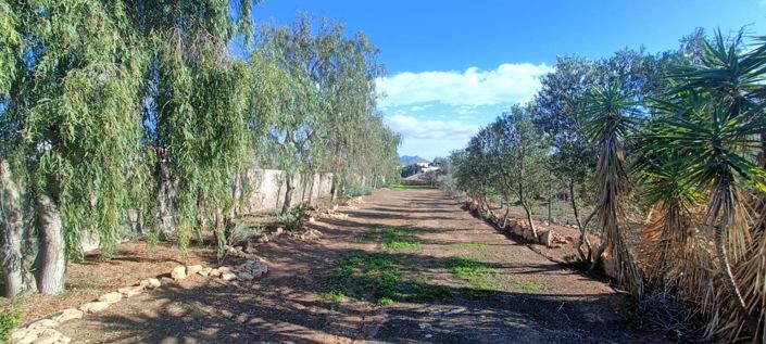 Image No.45-3 Bed Property for sale