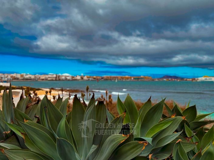 Image No.49-4 Bed Property for sale