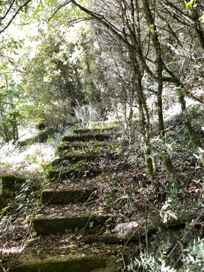 Image No.22-3 Bed House for sale