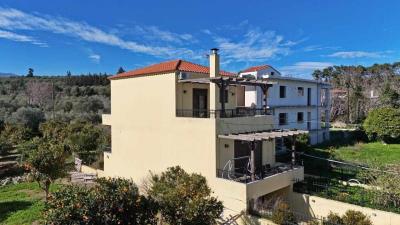 WhatsApp-Image-2025-09-19-at-11-28-49