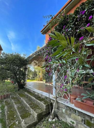 Image No.34-9 Bed Villa for sale