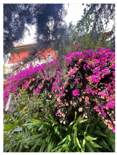 Image No.44-9 Bed Villa for sale