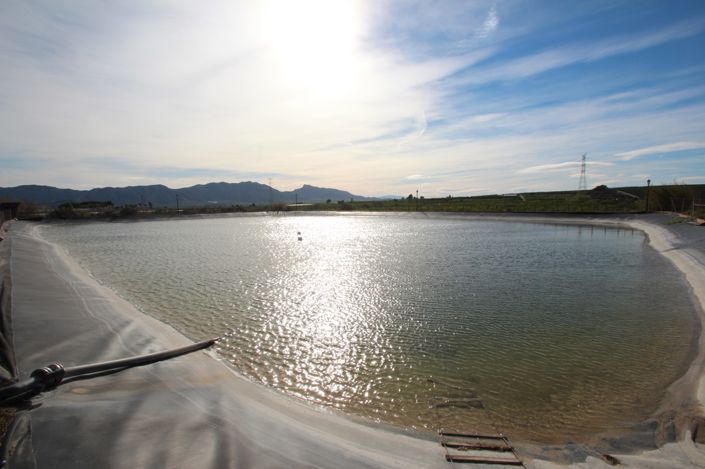 Image No.43-6 Bed Finca for sale